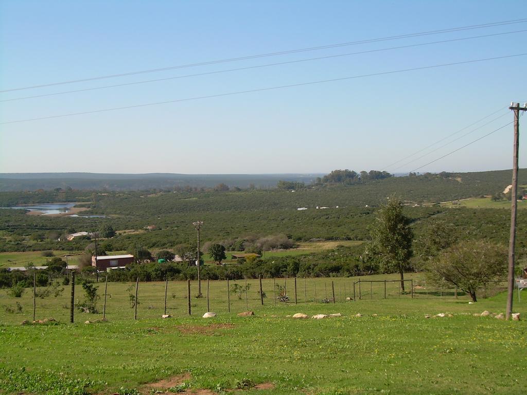 מלון Uitenhage The Hexagon Wildlife Conservation מראה חיצוני תמונה